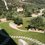 Kotroni Finikounta